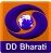 dd-bharati-3186603